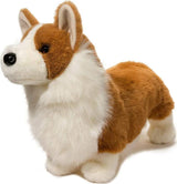 Chadwick Corgi