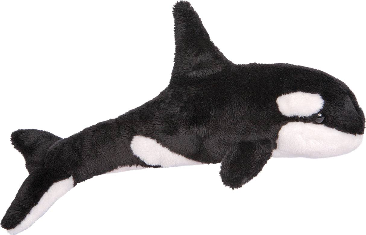 Spout Orca Whale