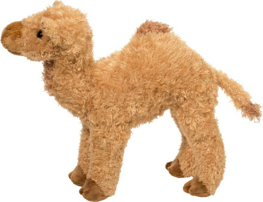 Lawrence Camel
