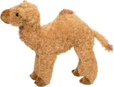 Lawrence Camel