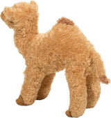Lawrence Camel