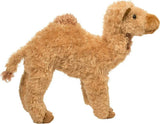 Lawrence Camel