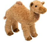 Lawrence Camel
