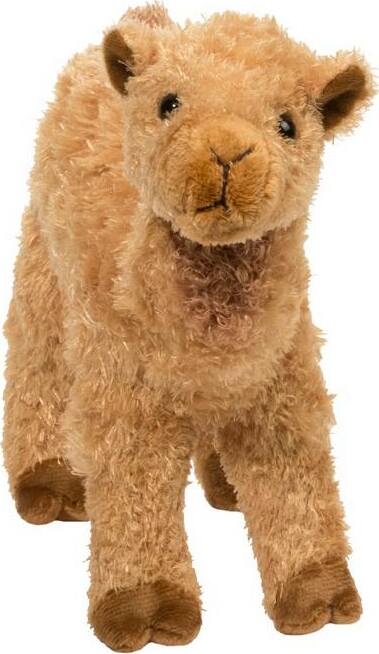 Lawrence Camel