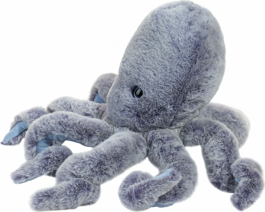 Jamie Octopus