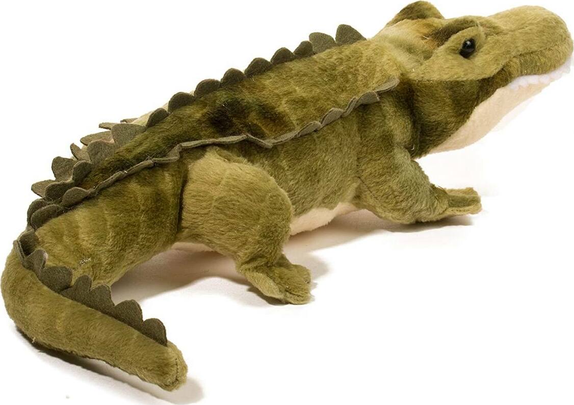 Stream Line Alligator
