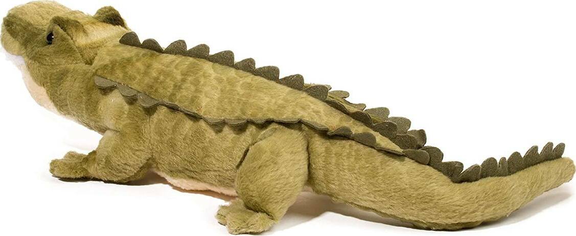 Stream Line Alligator