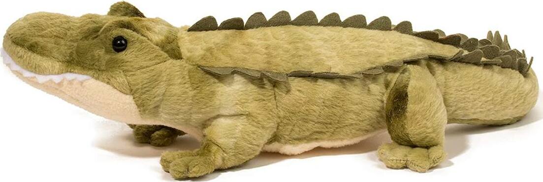 Stream Line Alligator