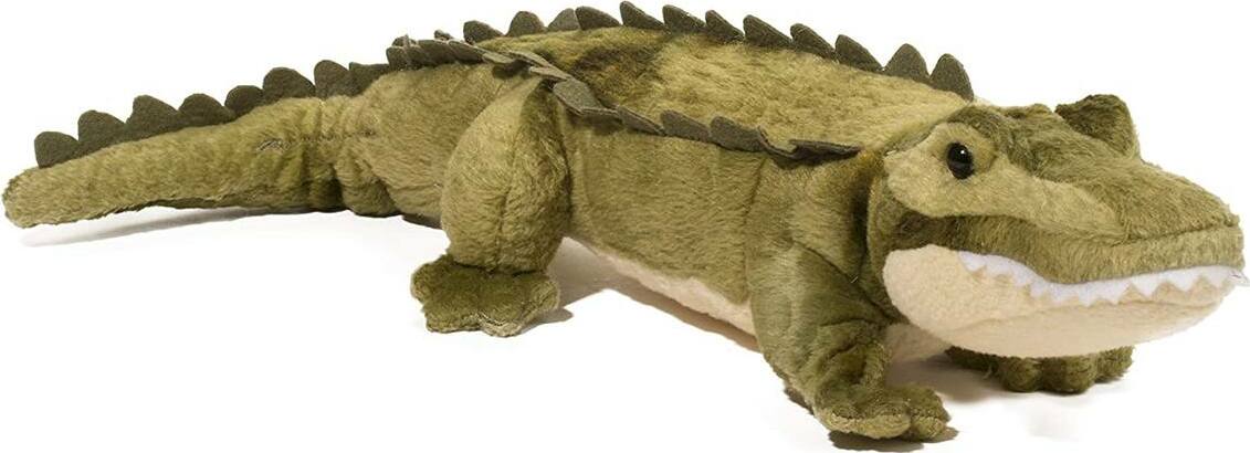 Stream Line Alligator