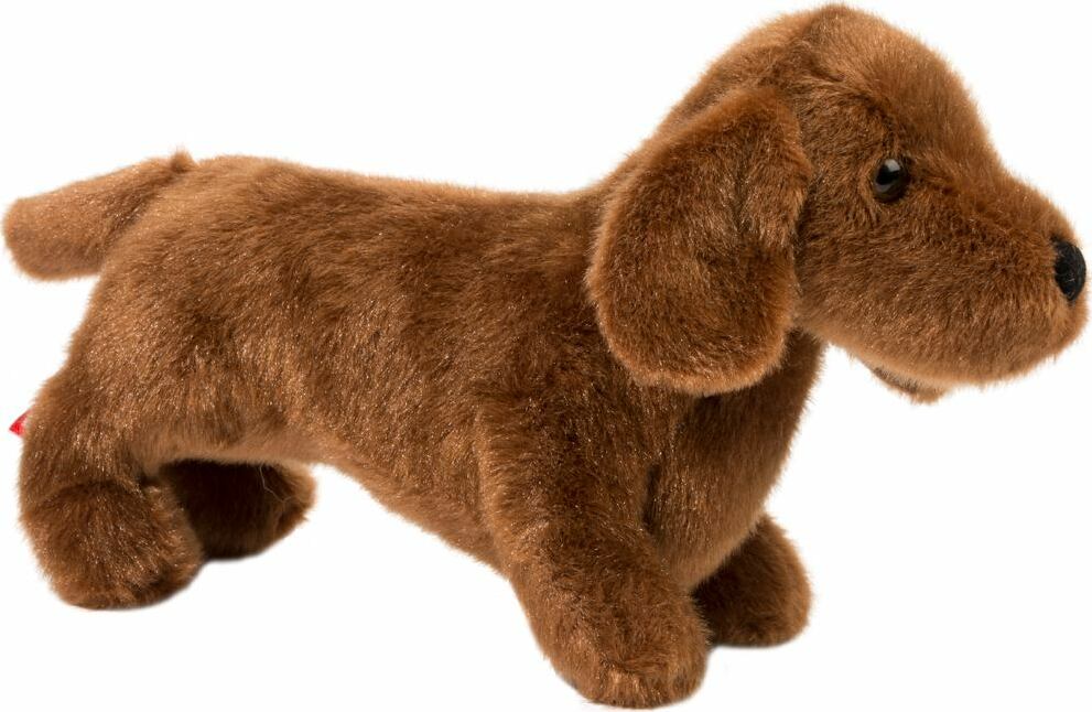 Dilly Dachshund