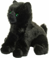 Salem Black Cat