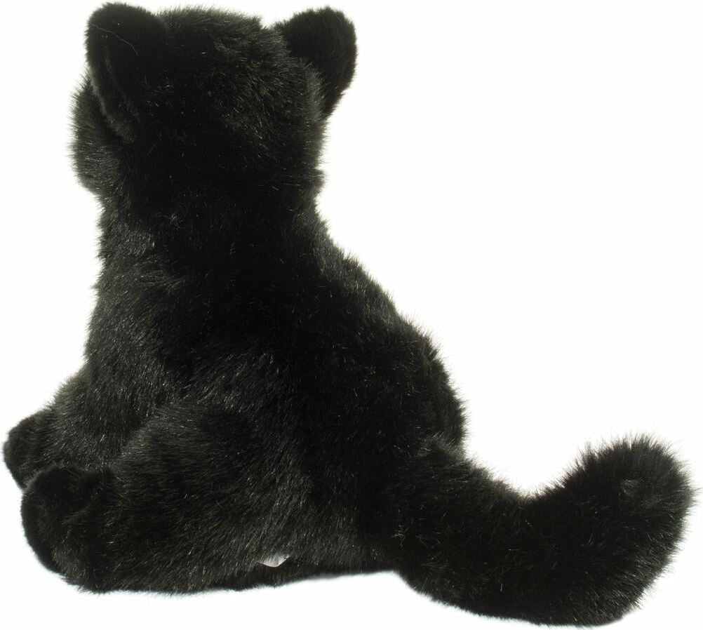 Salem Black Cat
