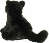 Salem Black Cat
