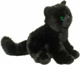 Salem Black Cat