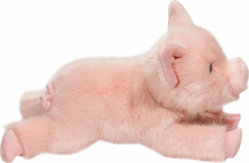 Charlize DLux Pig