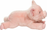 Charlize DLux Pig