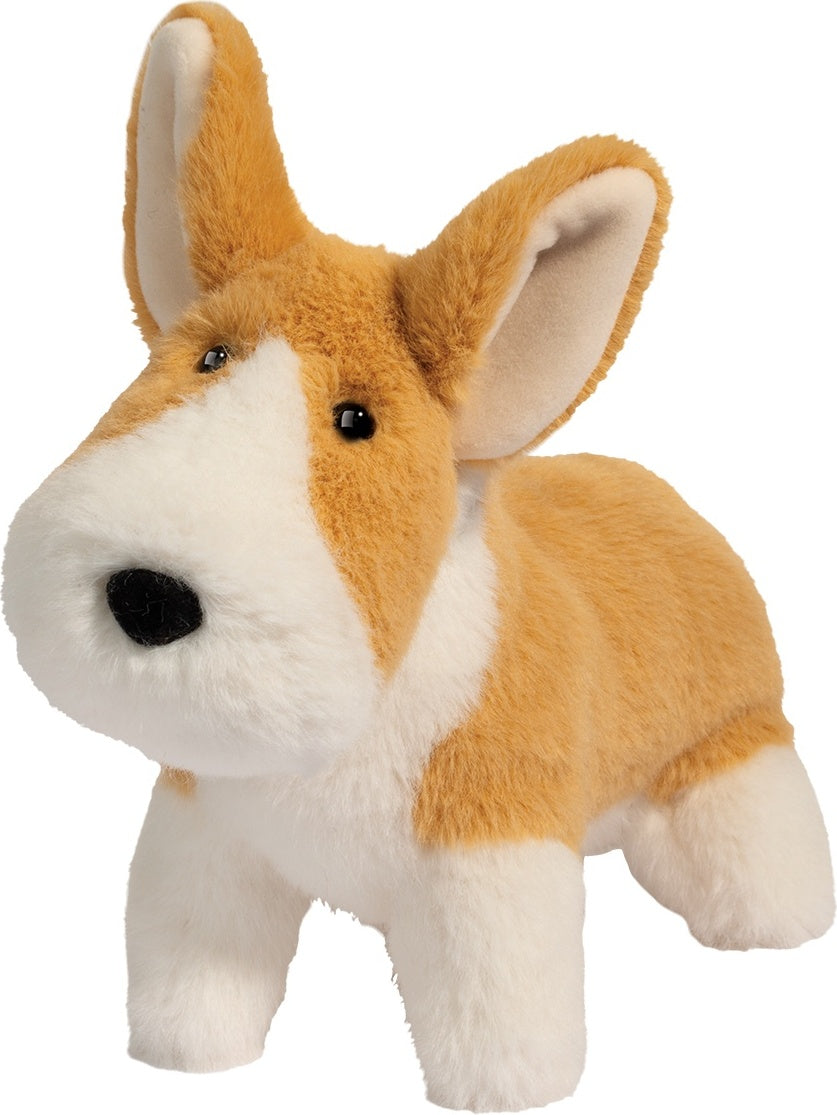 Carl Corgi Muzzle