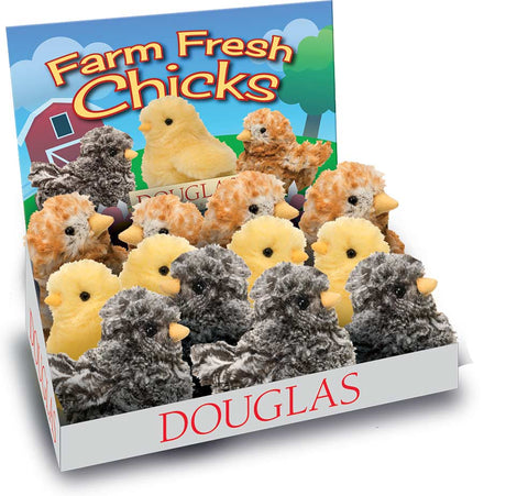 Chicks (assorted)