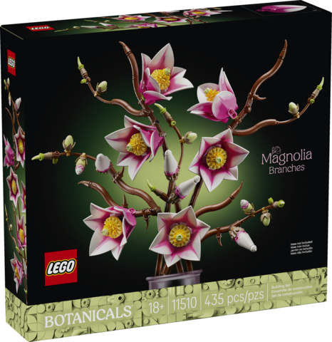 Botanicals: Magnolia Branches