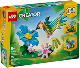 Creator: Colorful Hummingbird