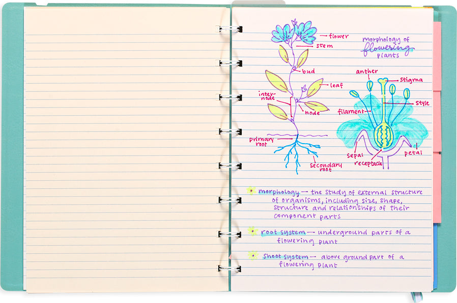 Writer's Duo Fountain Pen and Highlighter