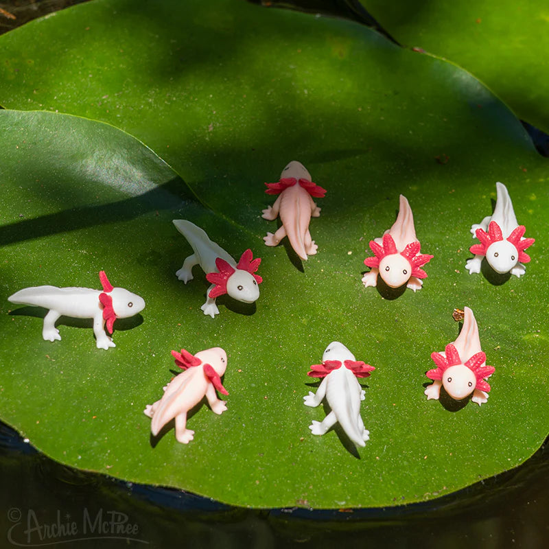 Itty Bitty Axolotls EACH