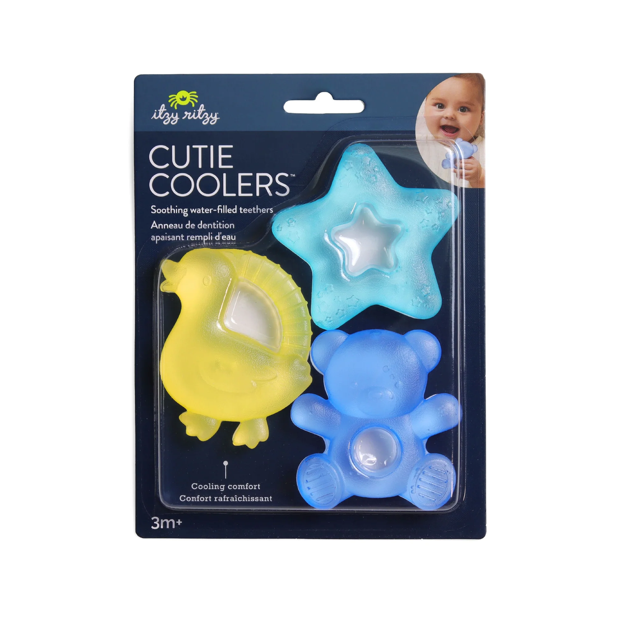 Cutie Coolers: Bear