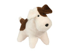 Muzzles: Tammy Dog