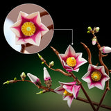 LEGO Botanicals: Magnolia Branches