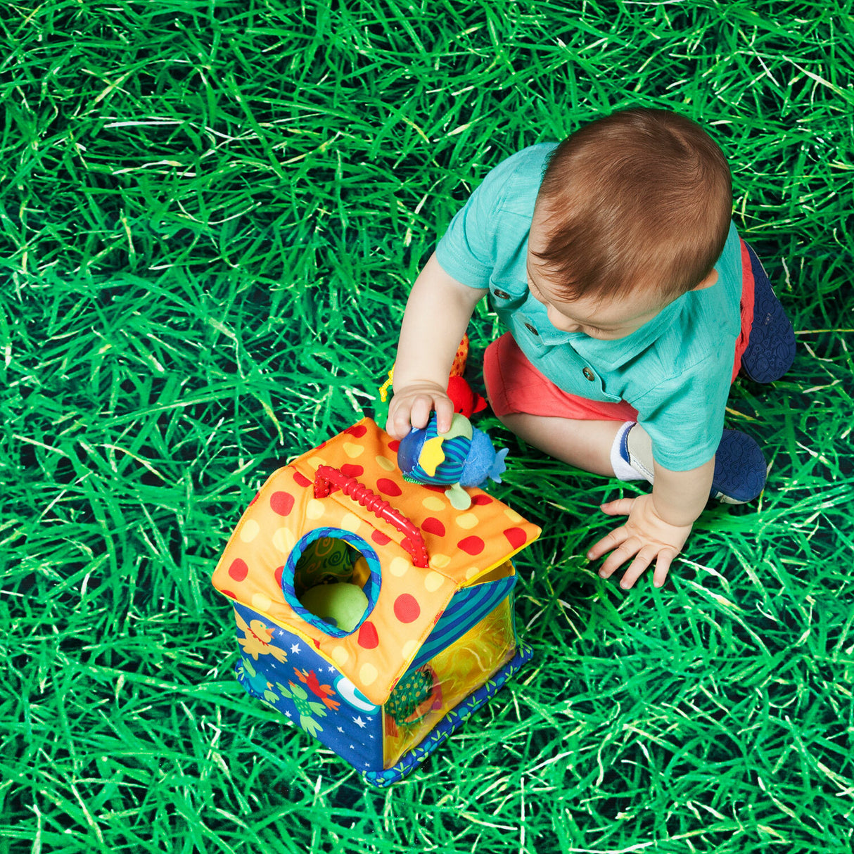Put & Peek Birdhouse