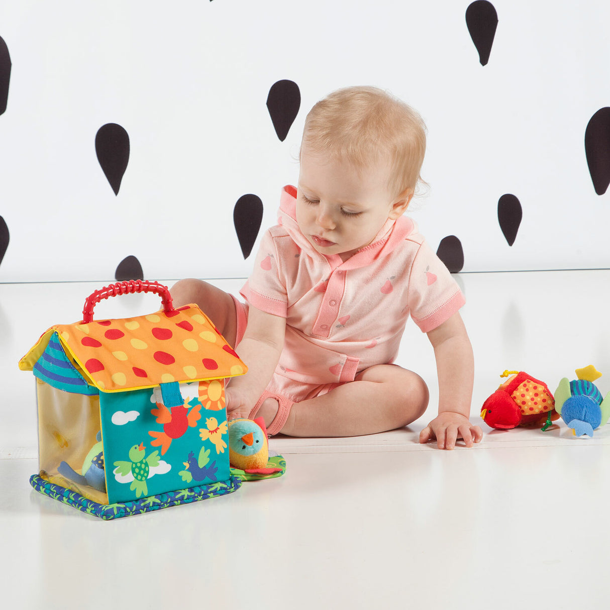Put & Peek Birdhouse