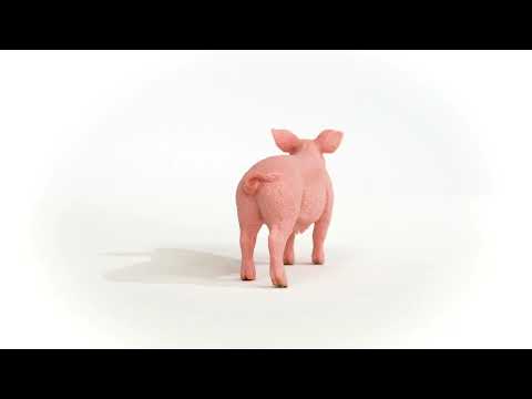 Pig Figure