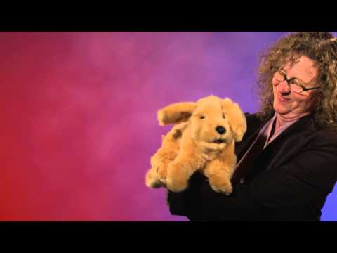 Puppet: Golden Retreiver Puppy