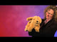 Puppet: Golden Retreiver Puppy