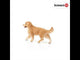 Golden Retriever Female Figure