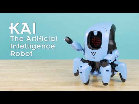 Kai The Artificial Intelligence Robot