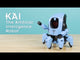 Kai The Artificial Intelligence Robot