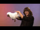 Puppet: Bleating Sheep