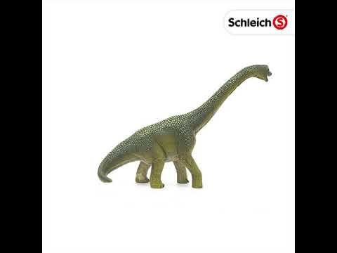 Brachiosaurus Large