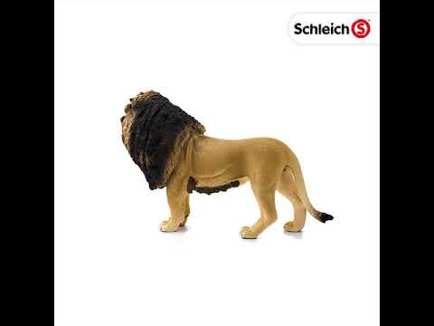 Lion Male Figure