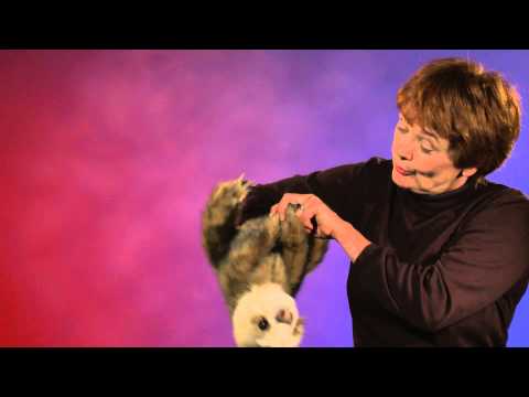 Puppet: Baby Sloth