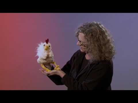 Puppet: Funky Chicken