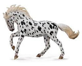 Western Horse: Black Leopard Knabstrupper Mare
