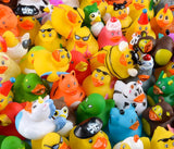 Mini Rubber Ducky Assorted