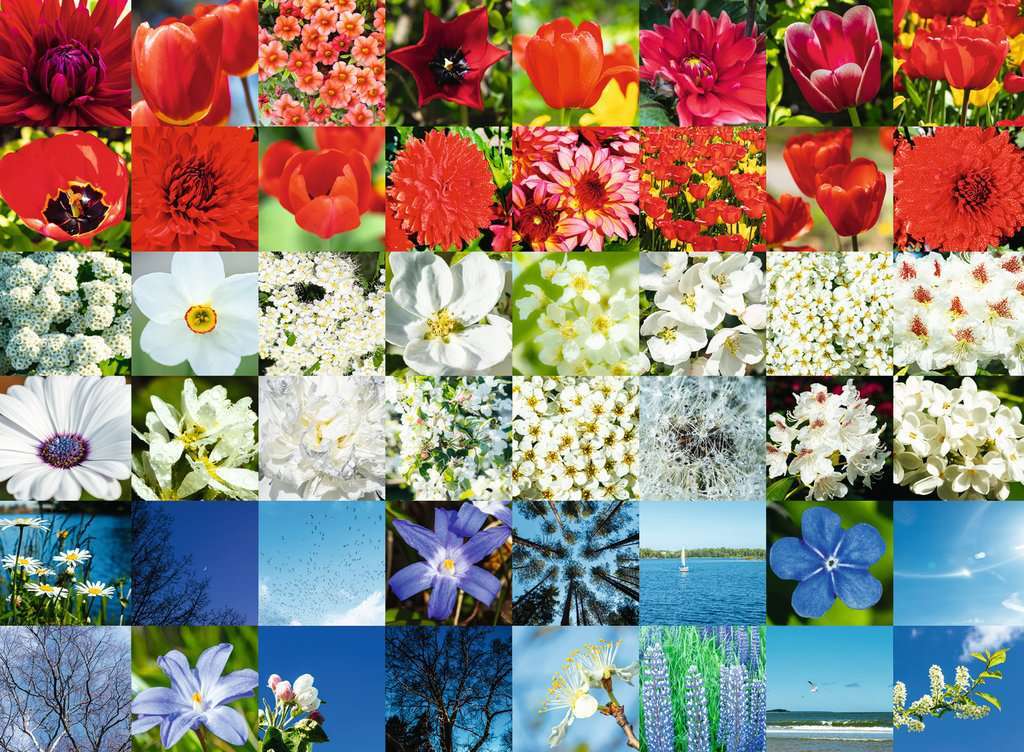 USA Jigsaw Nationals: Red, White and Blue Puzzle (500 pc)