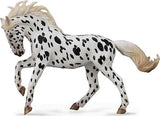 Black Leopard Knabstrupper Mare