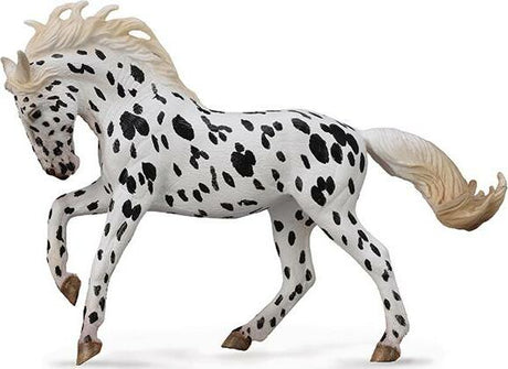 Black Leopard Knabstrupper Mare