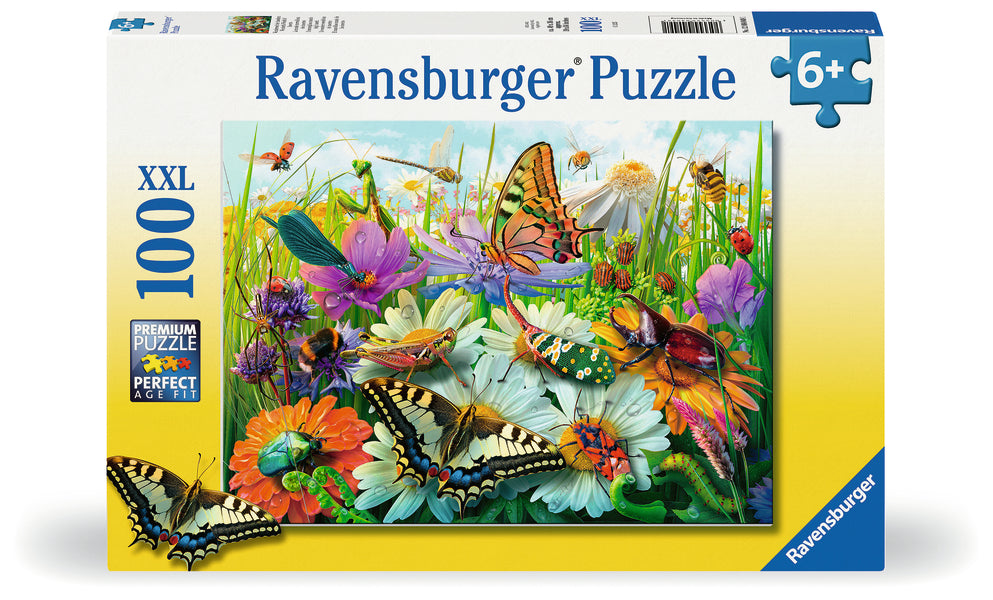 100pc Wonderul World of Insects
