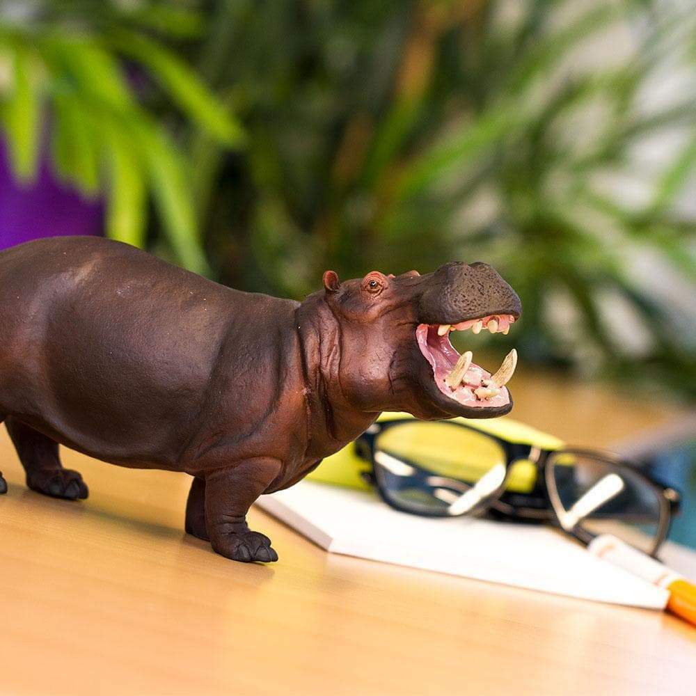 Hippopotamus Toy