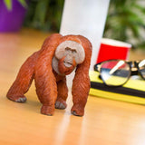 Bornean Orangutan Toy